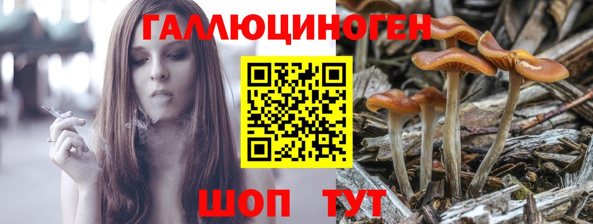 Псилоцибиновые грибы мицелий Гудермес