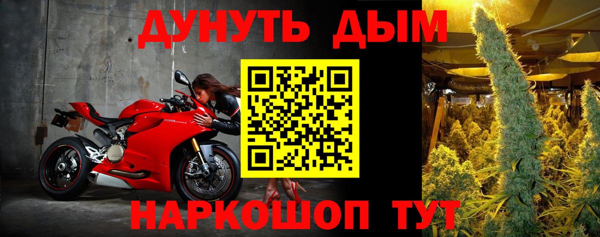 Бошки Шишки THC 21% Гудермес